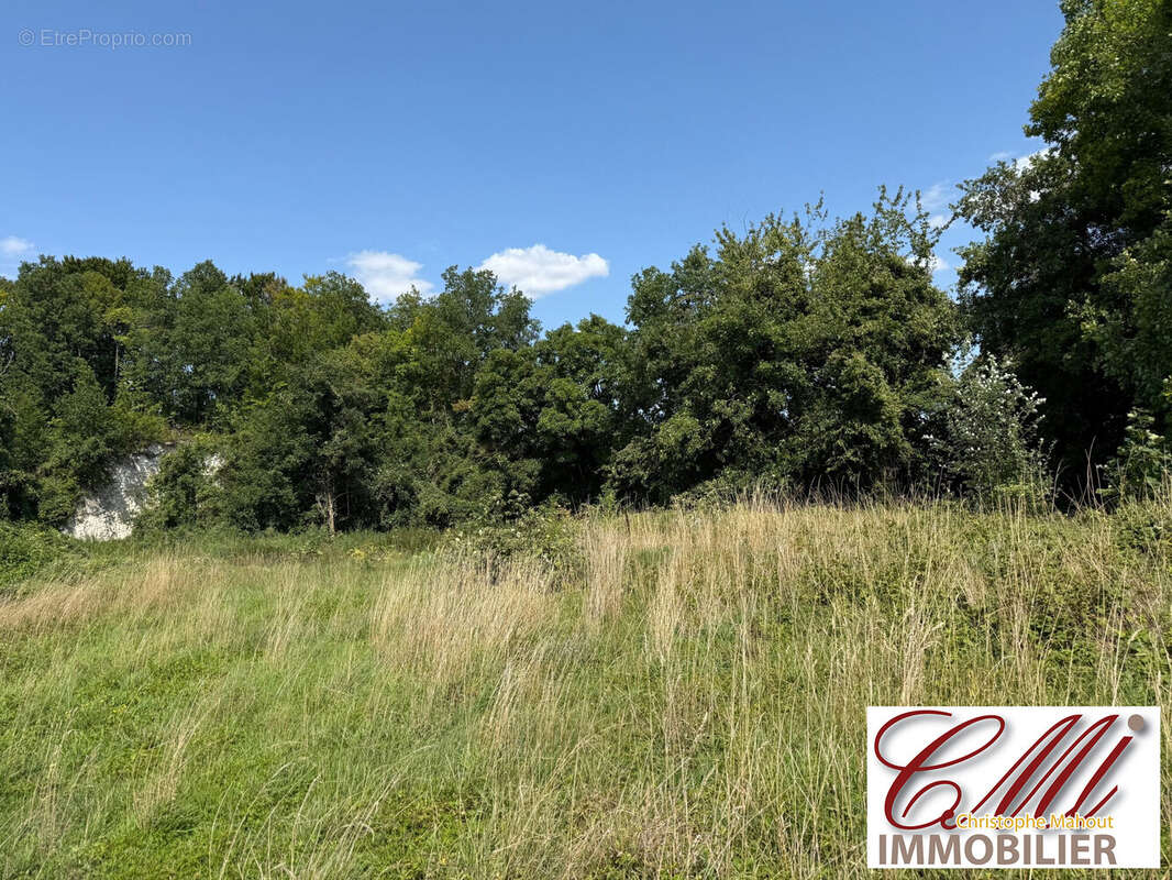 Terrain à VITRY-LE-FRANCOIS