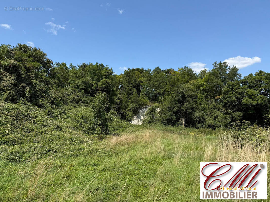 Terrain à VITRY-LE-FRANCOIS