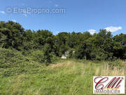 Terrain à VITRY-LE-FRANCOIS