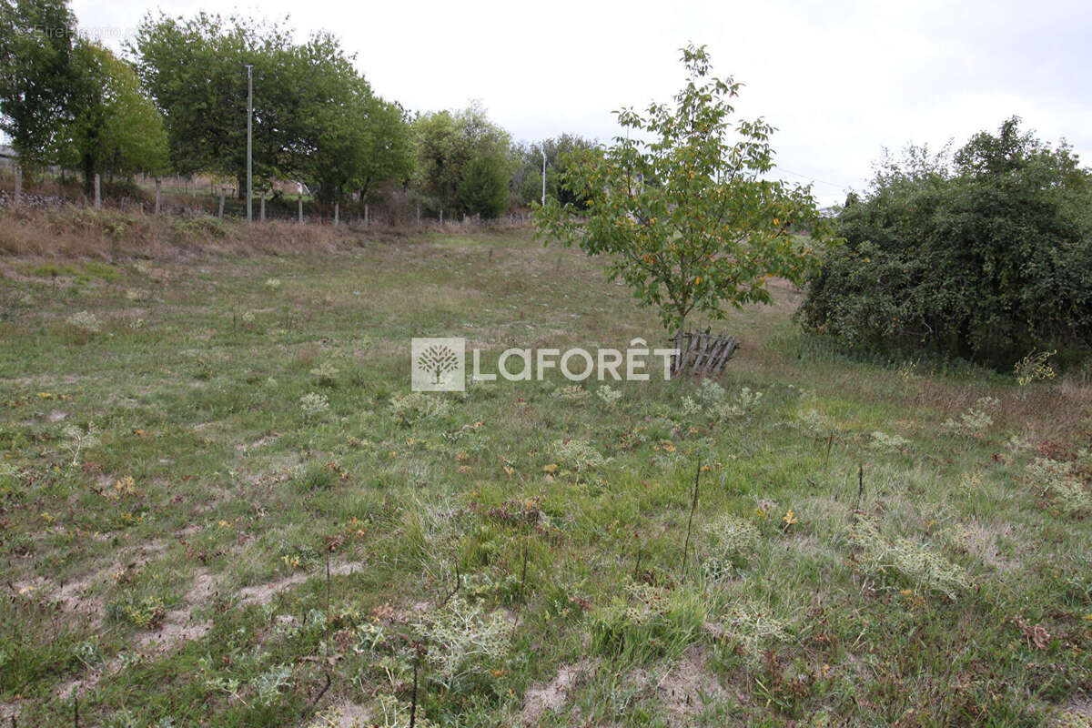 Terrain à LA CHAPELLE-FAUCHER
