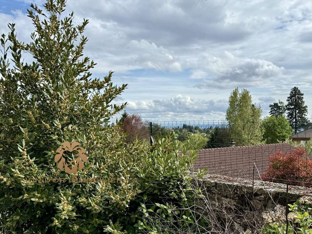 Maison à SAINT-CYR-AU-MONT-D&#039;OR