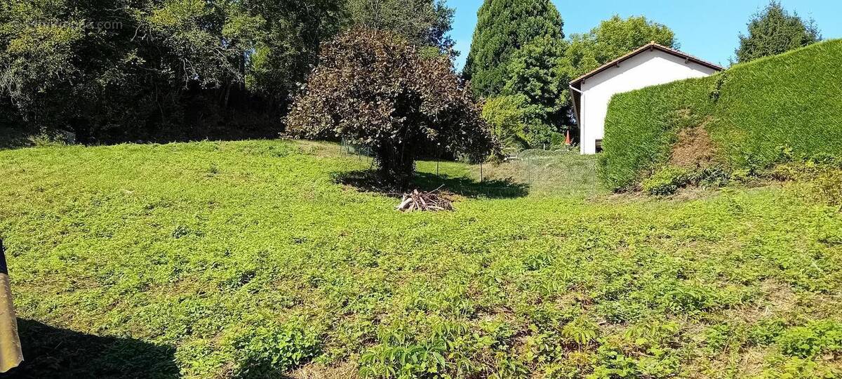 Photo 1 - Terrain à COURS-LA-VILLE