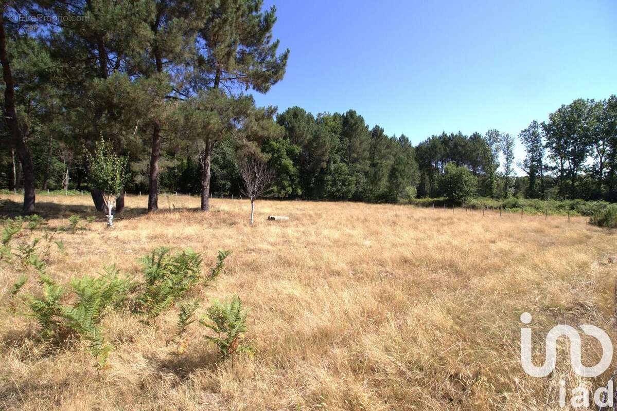 Photo 3 - Maison à CERCOUX