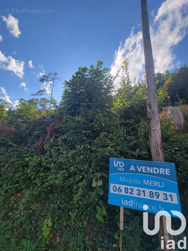 Photo 2 - Terrain à BOURBACH-LE-HAUT