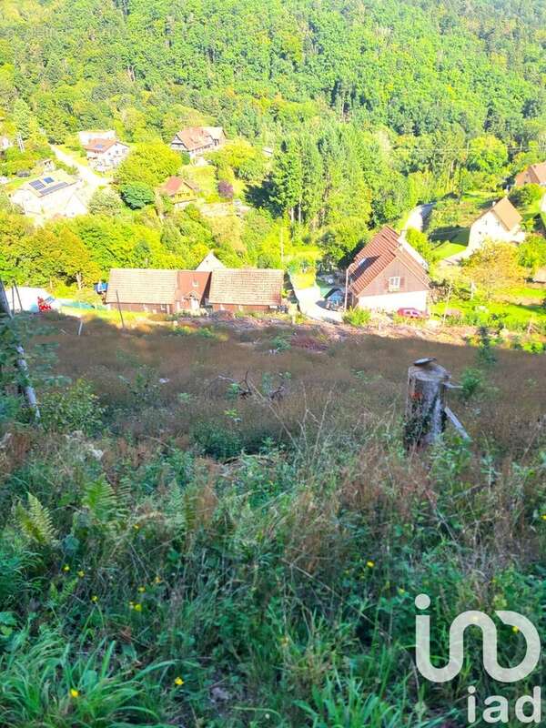 Photo 3 - Terrain à BOURBACH-LE-HAUT