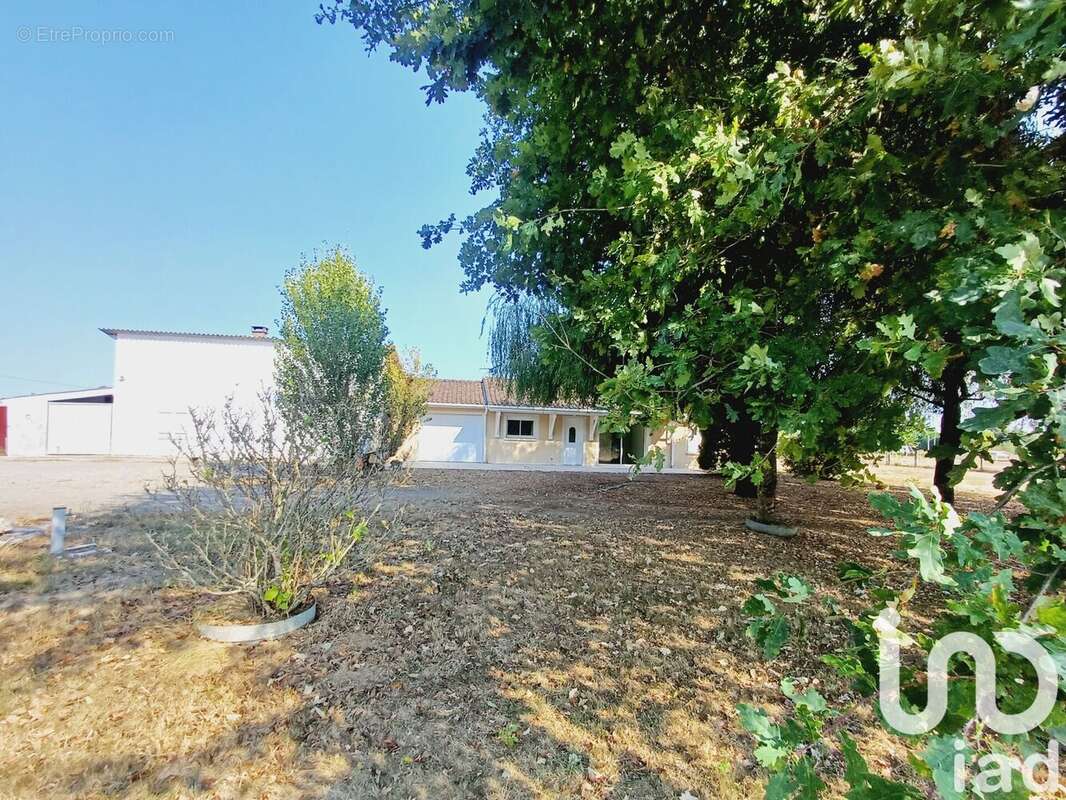 Photo 2 - Maison à LESPARRE-MEDOC