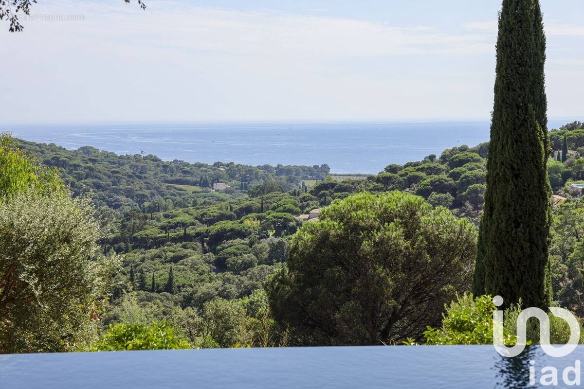 Photo 1 - Maison à LA CROIX-VALMER