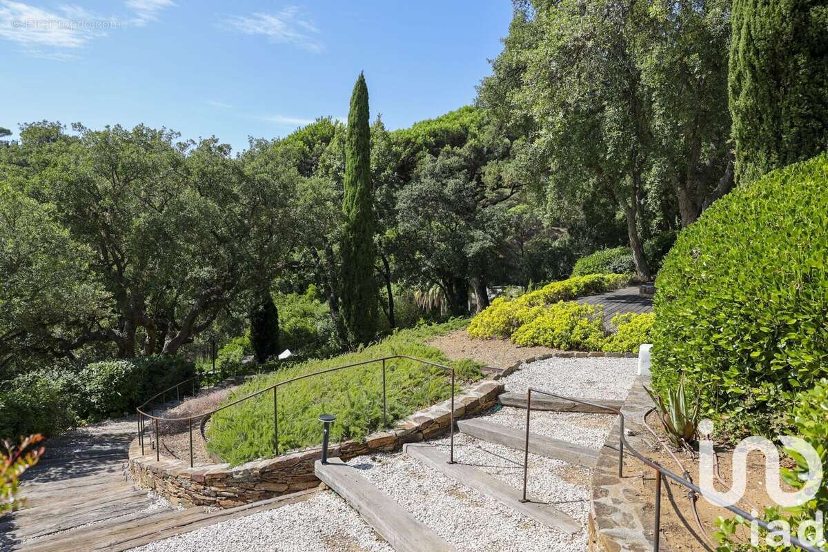 Photo 6 - Maison à LA CROIX-VALMER