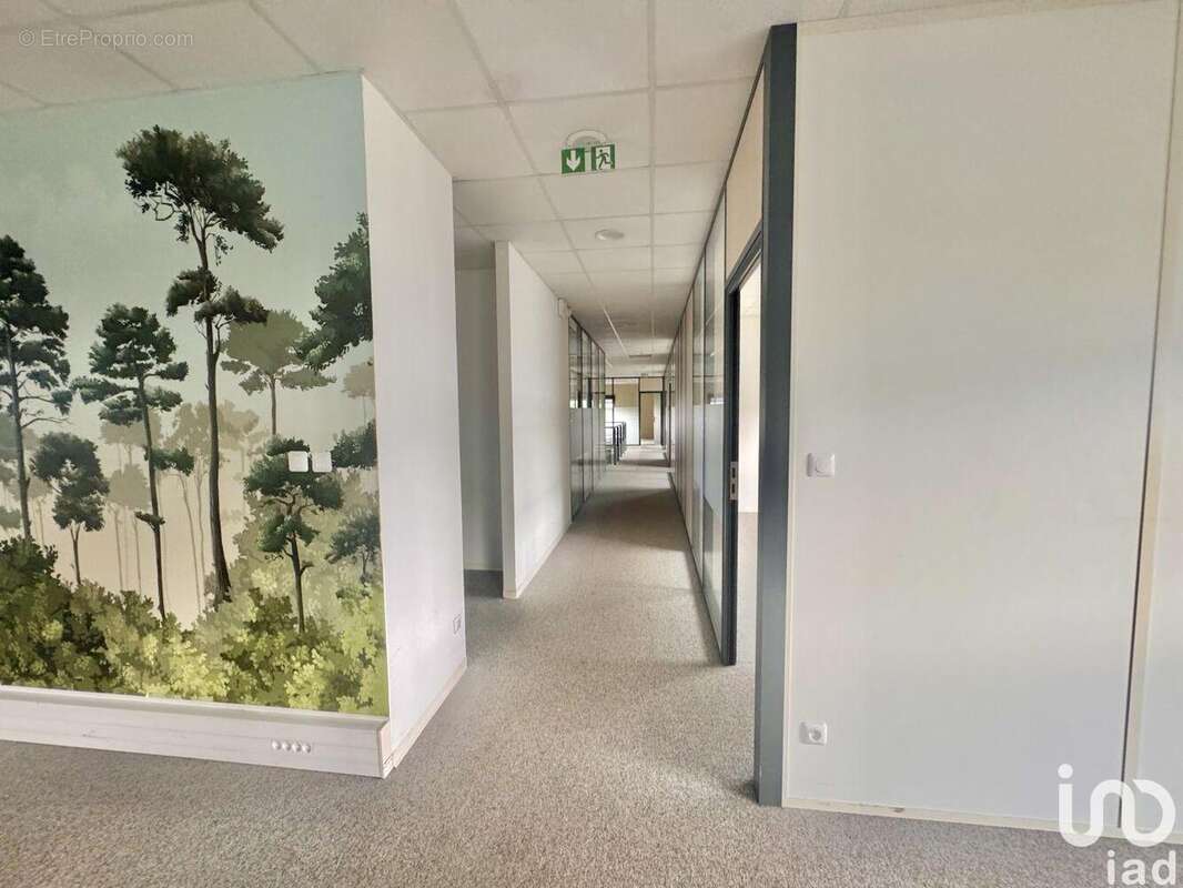 Photo 7 - Commerce à MUDAISON