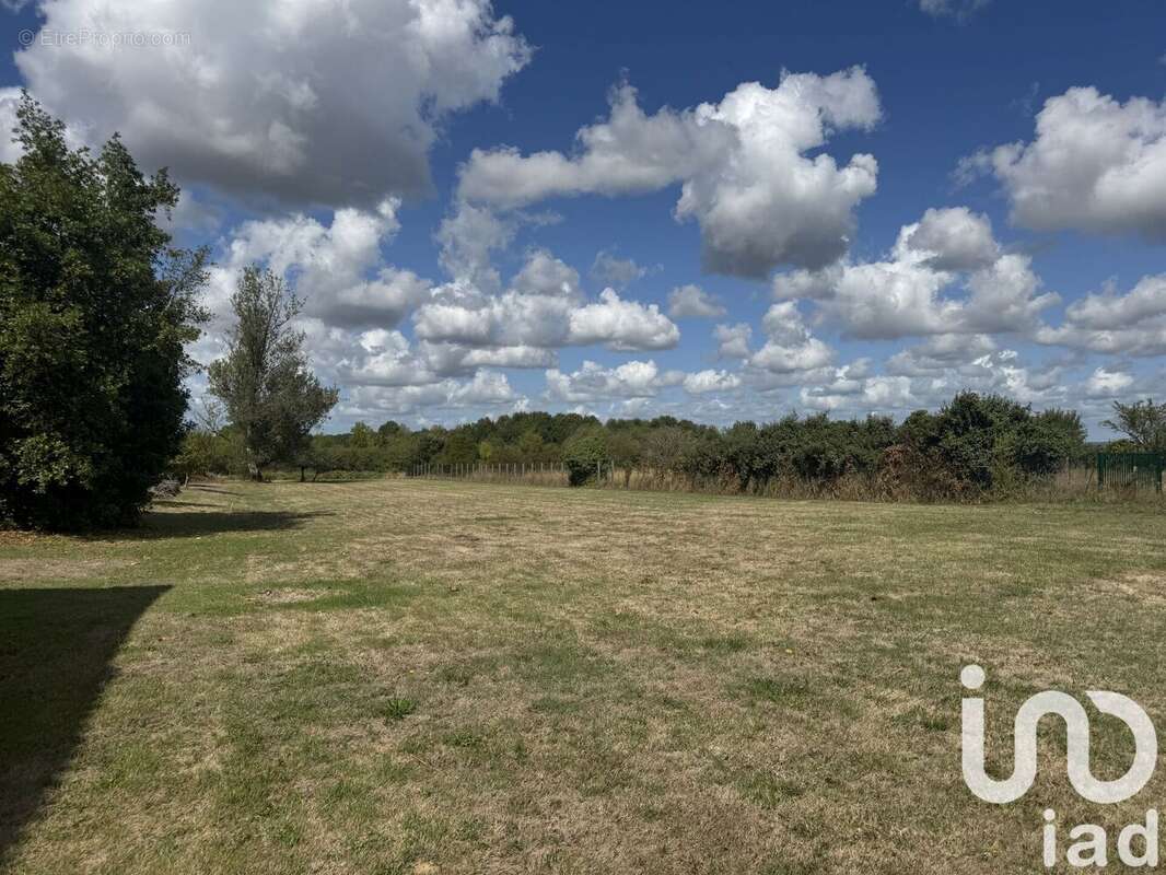 Photo 2 - Terrain à SAINT-GERMAIN-DU-PUCH