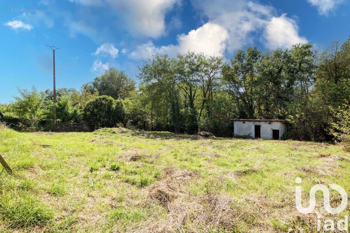 Photo 2 - Terrain à MEAUZAC