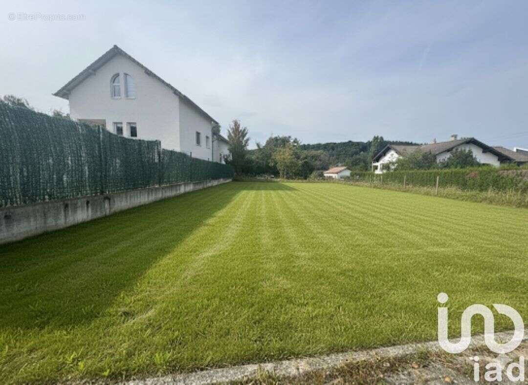 Photo 3 - Terrain à FALCK