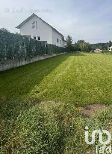 Photo 5 - Terrain à FALCK