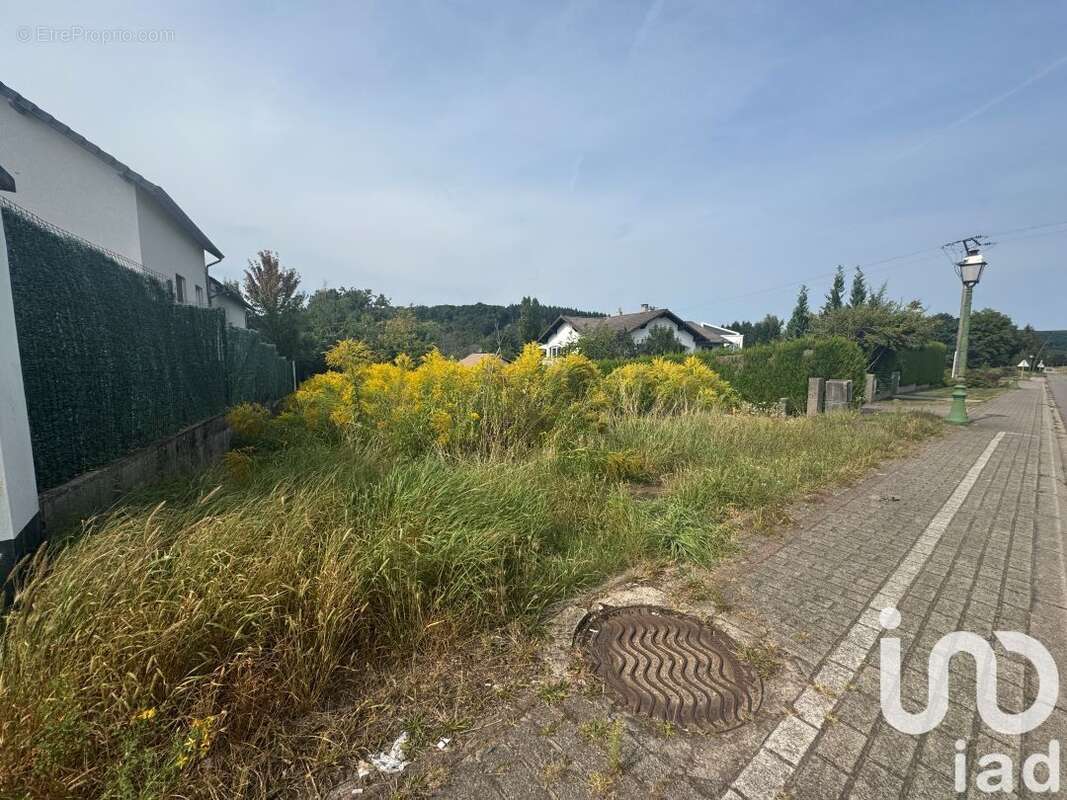 Photo 6 - Terrain à FALCK