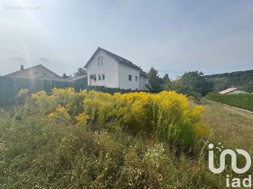 Photo 8 - Terrain à FALCK