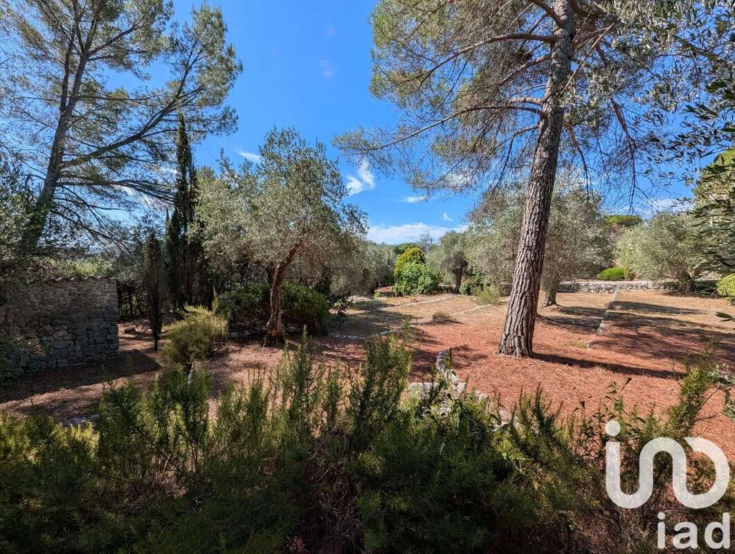 Photo 7 - Maison à AURIBEAU-SUR-SIAGNE