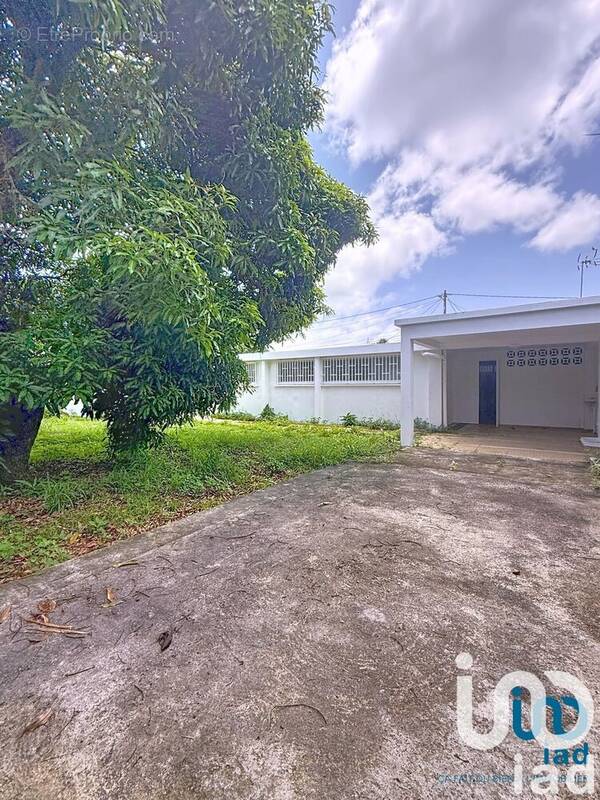 Photo 1 - Maison à LES ABYMES