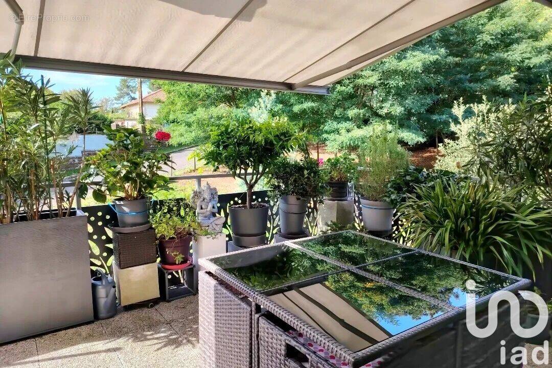 Photo 1 - Appartement à SEIGNOSSE