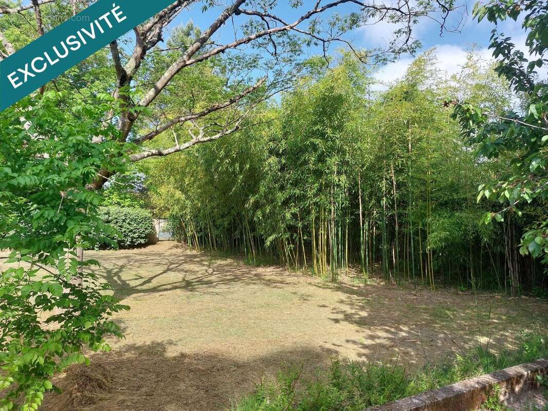 Photo 9 - Maison à GAILLAC