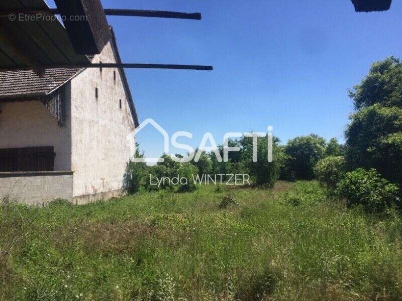 Photo 4 - Terrain à RICHTOLSHEIM
