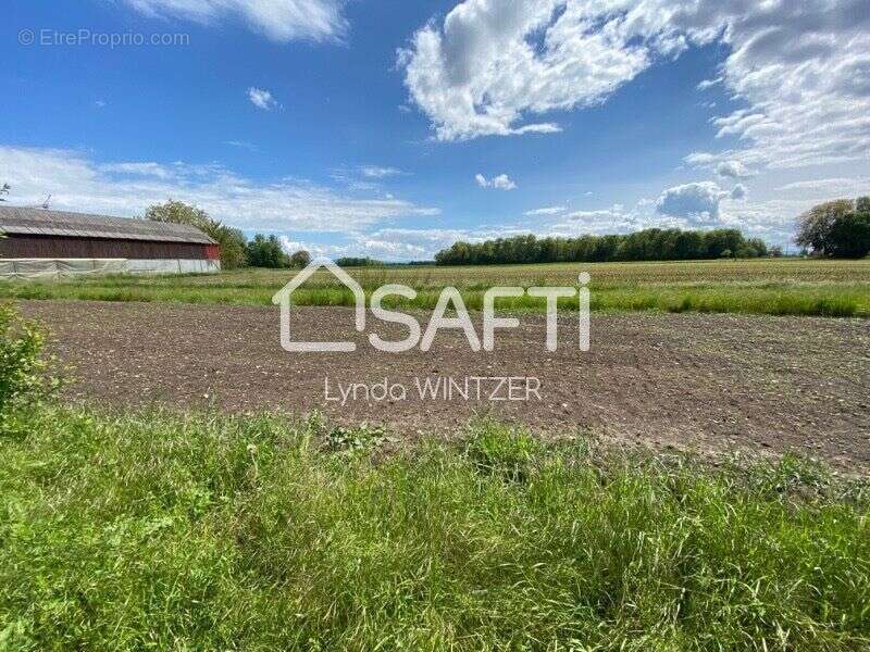 Photo 6 - Terrain à RICHTOLSHEIM
