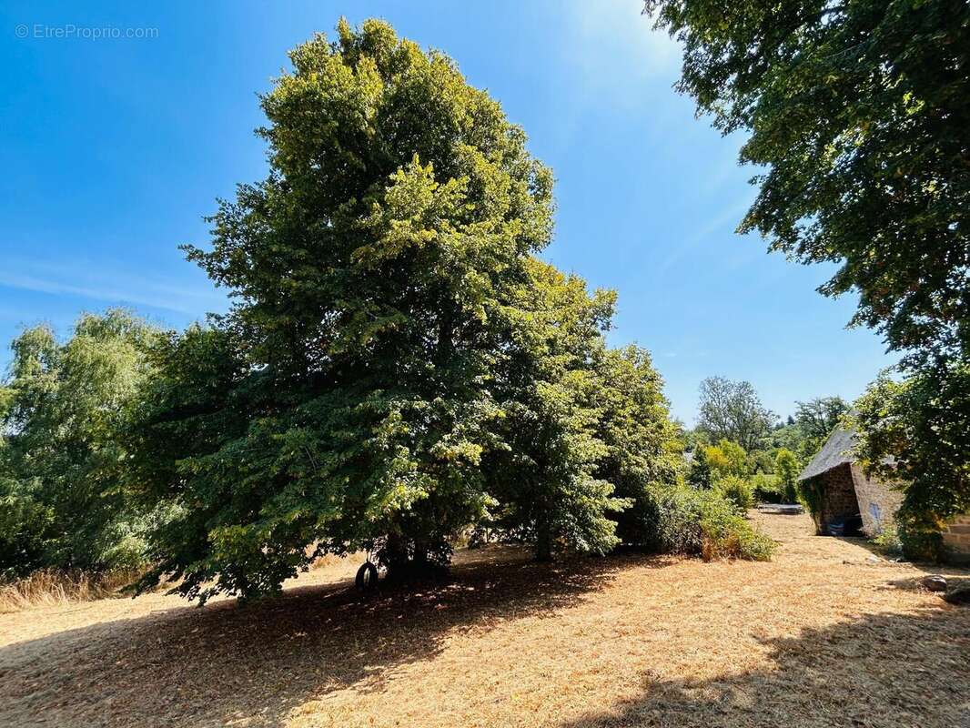 Photo 7 - Maison à BASVILLE