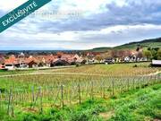 Photo 1 - Terrain à AMMERSCHWIHR