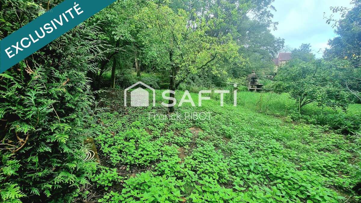 Photo 3 - Maison à SAVIGNY-EN-TERRE-PLAINE