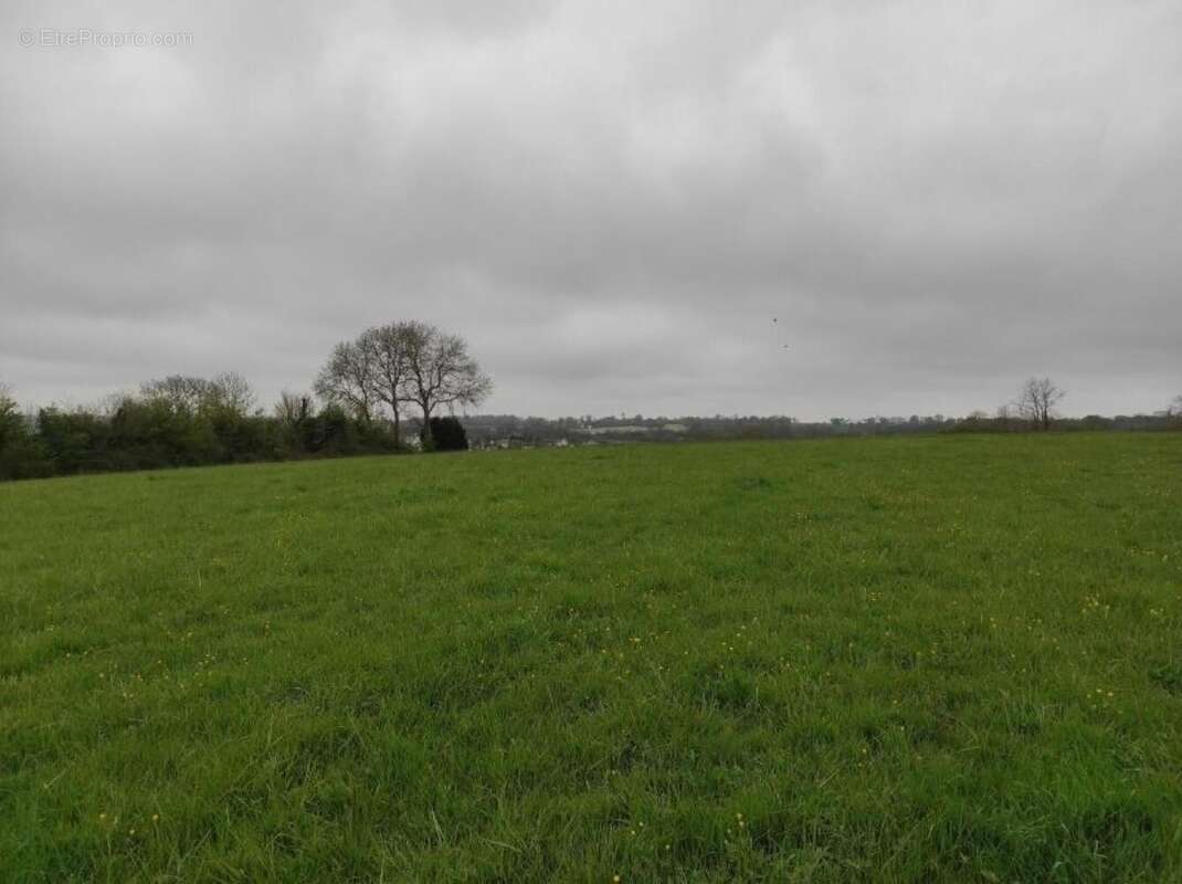 Photo 2 - Terrain à MISSY