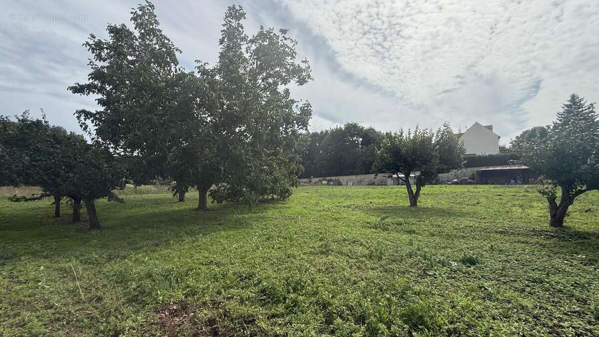 Photo 3 - Terrain à DADONVILLE