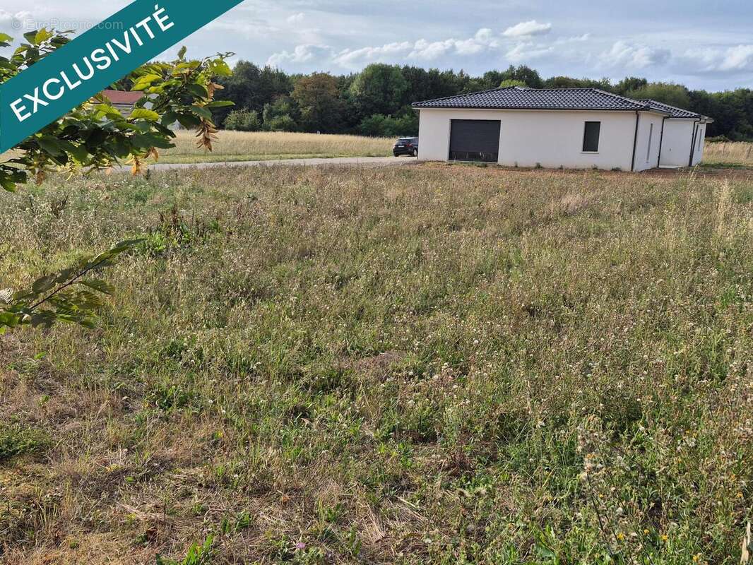 Photo 2 - Terrain à LATILLE
