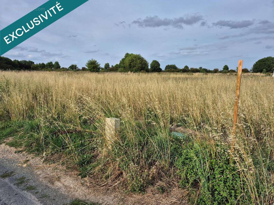 Photo 2 - Terrain à LATILLE