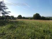 Photo 1 - Terrain à MONESTIES