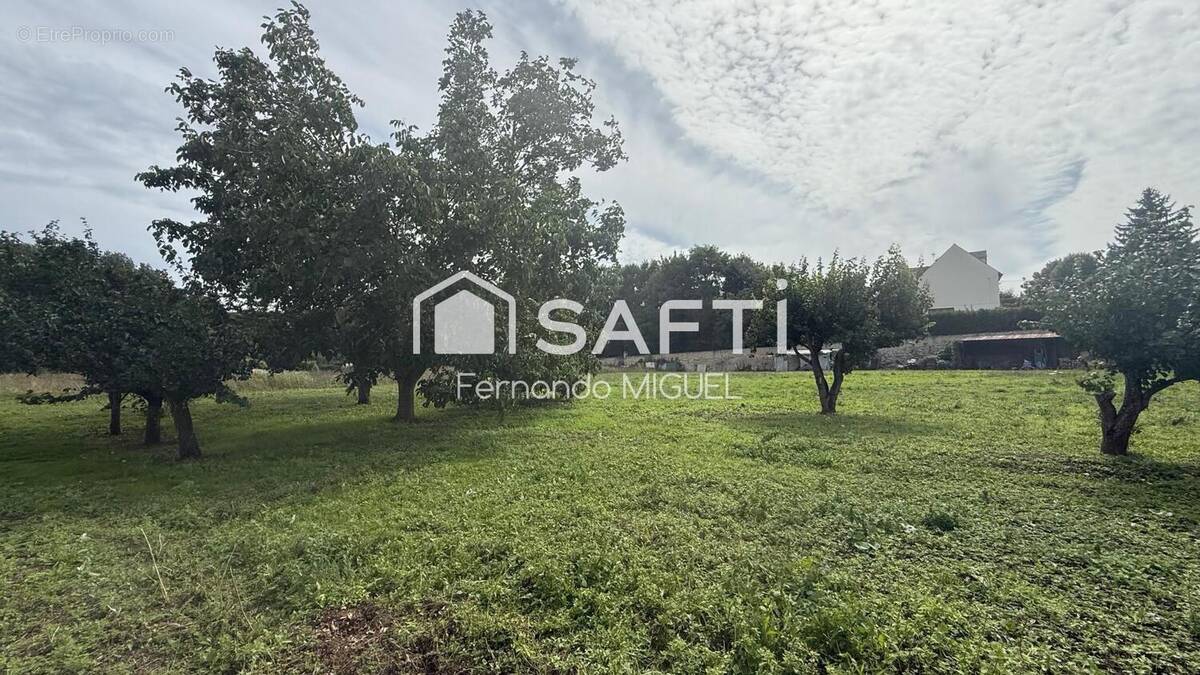 Photo 1 - Terrain à DADONVILLE