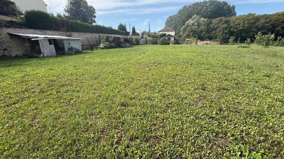 Photo 3 - Terrain à DADONVILLE