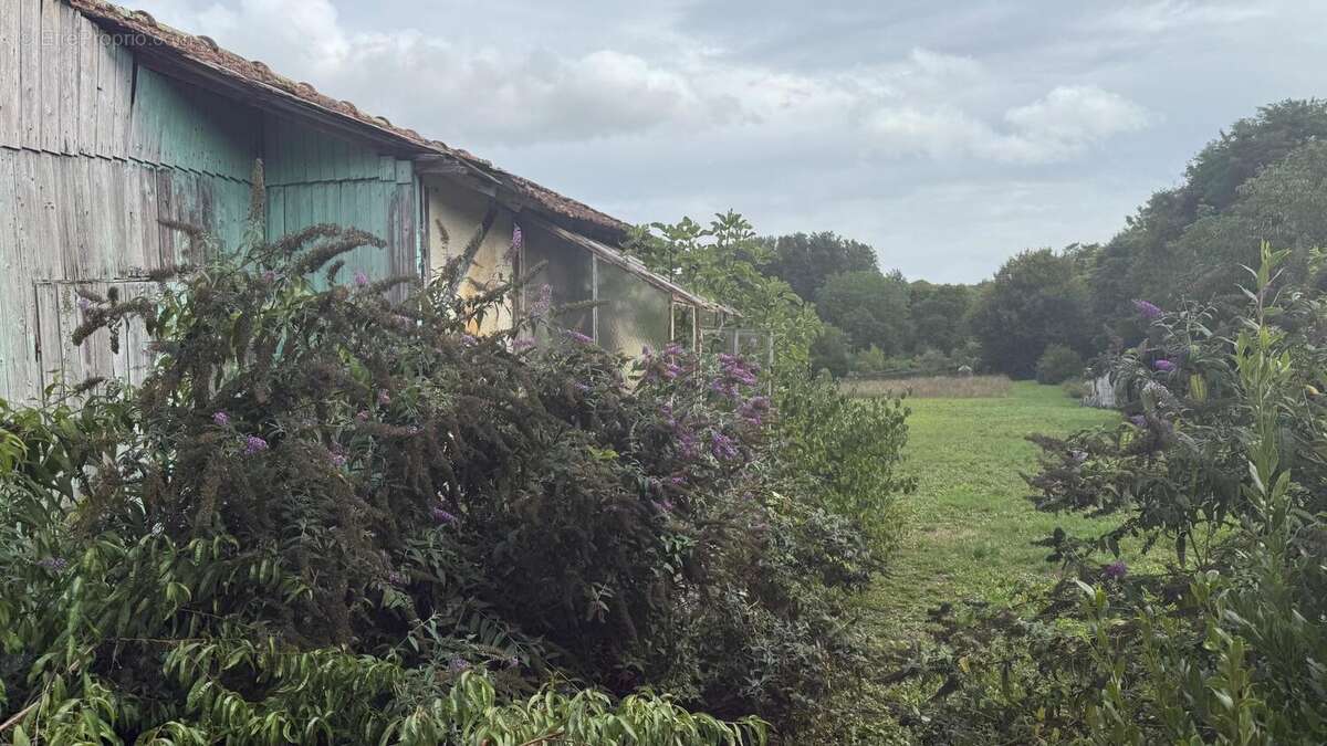 Photo 5 - Terrain à DADONVILLE