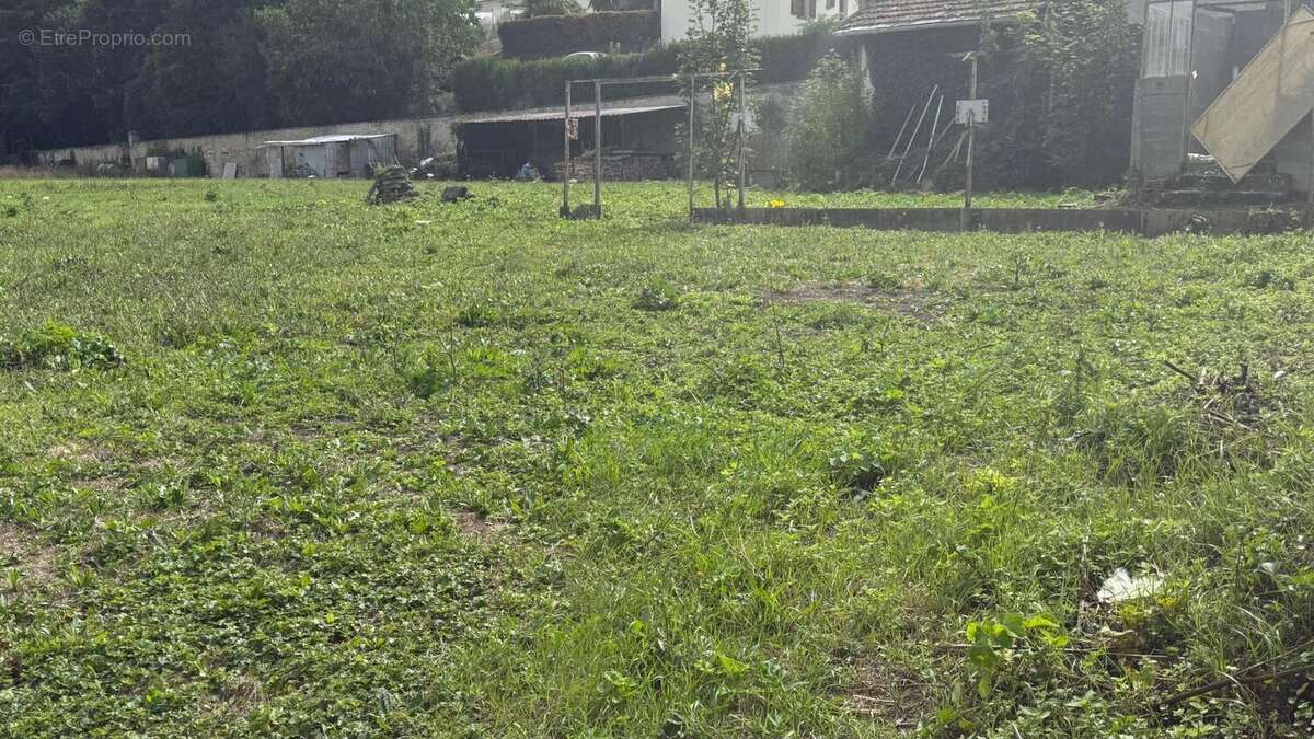 Photo 6 - Terrain à DADONVILLE