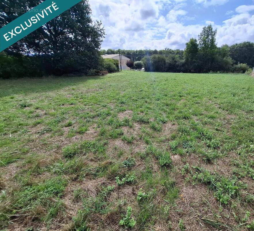 Photo 1 - Terrain à NOAILHAC