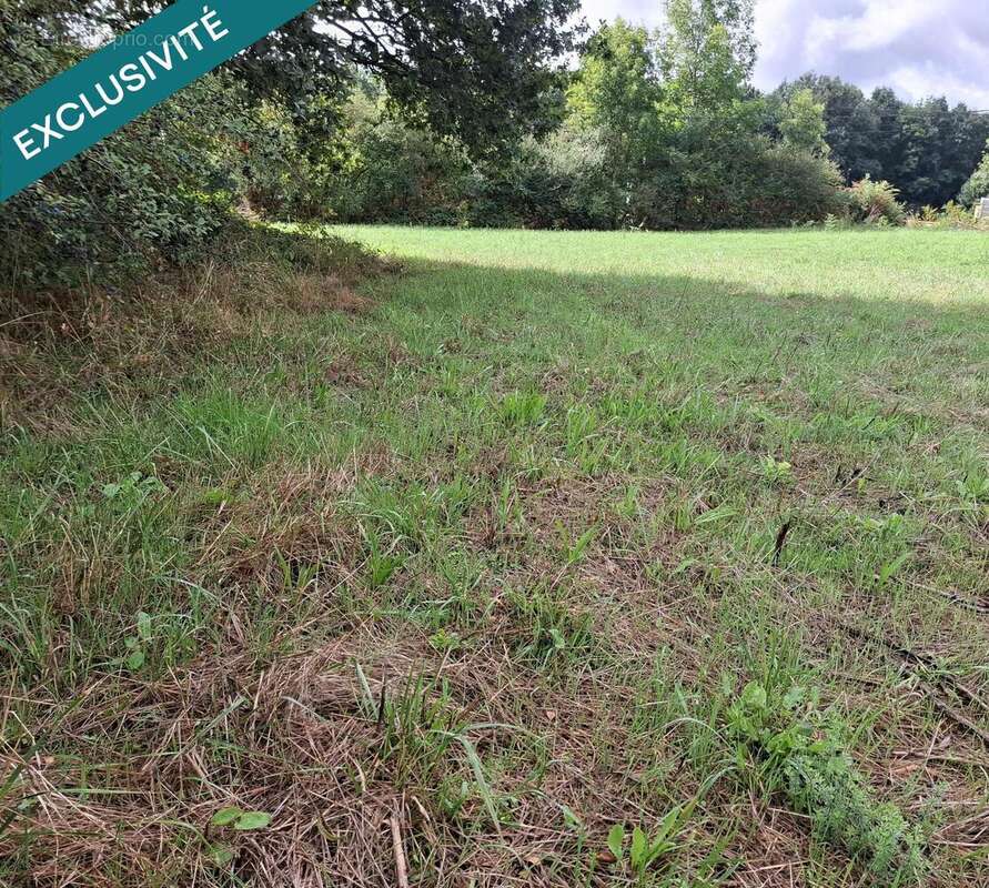 Photo 2 - Terrain à NOAILHAC
