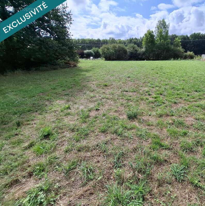 Photo 3 - Terrain à NOAILHAC