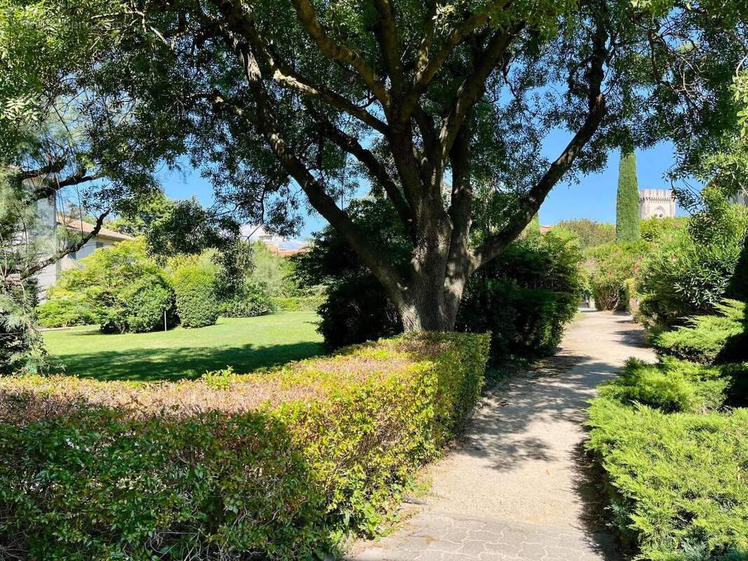 Photo 9 - Appartement à VILLENEUVE-LES-AVIGNON