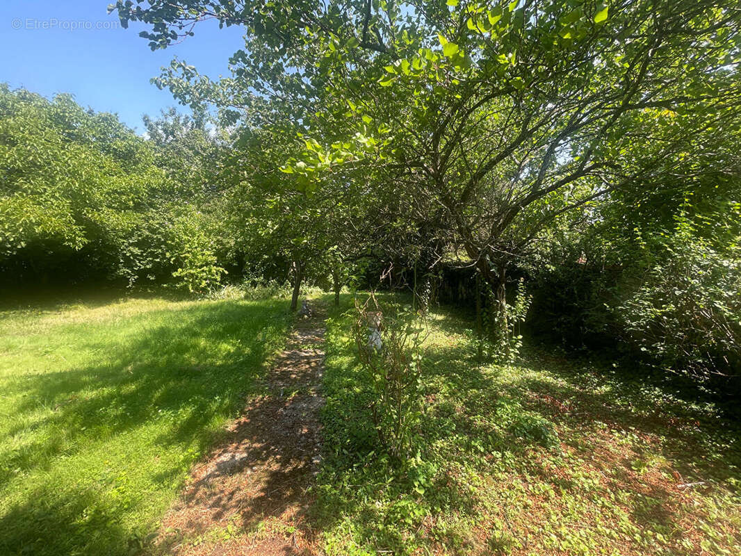 Maison à ARGENTEUIL