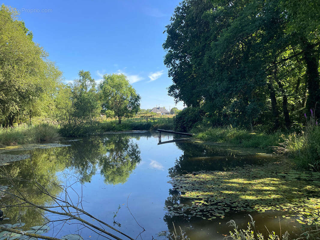 Maison à PLOUFRAGAN
