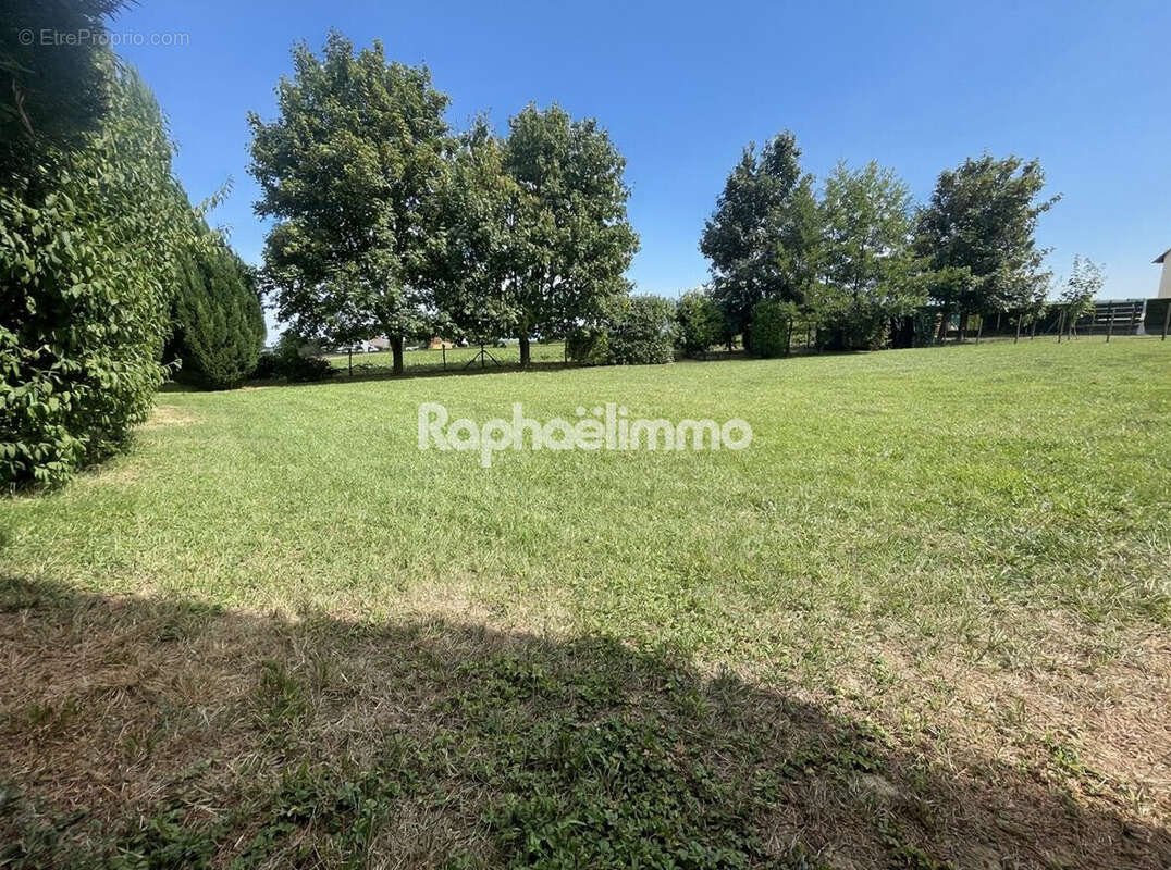 Terrain à SCHNERSHEIM