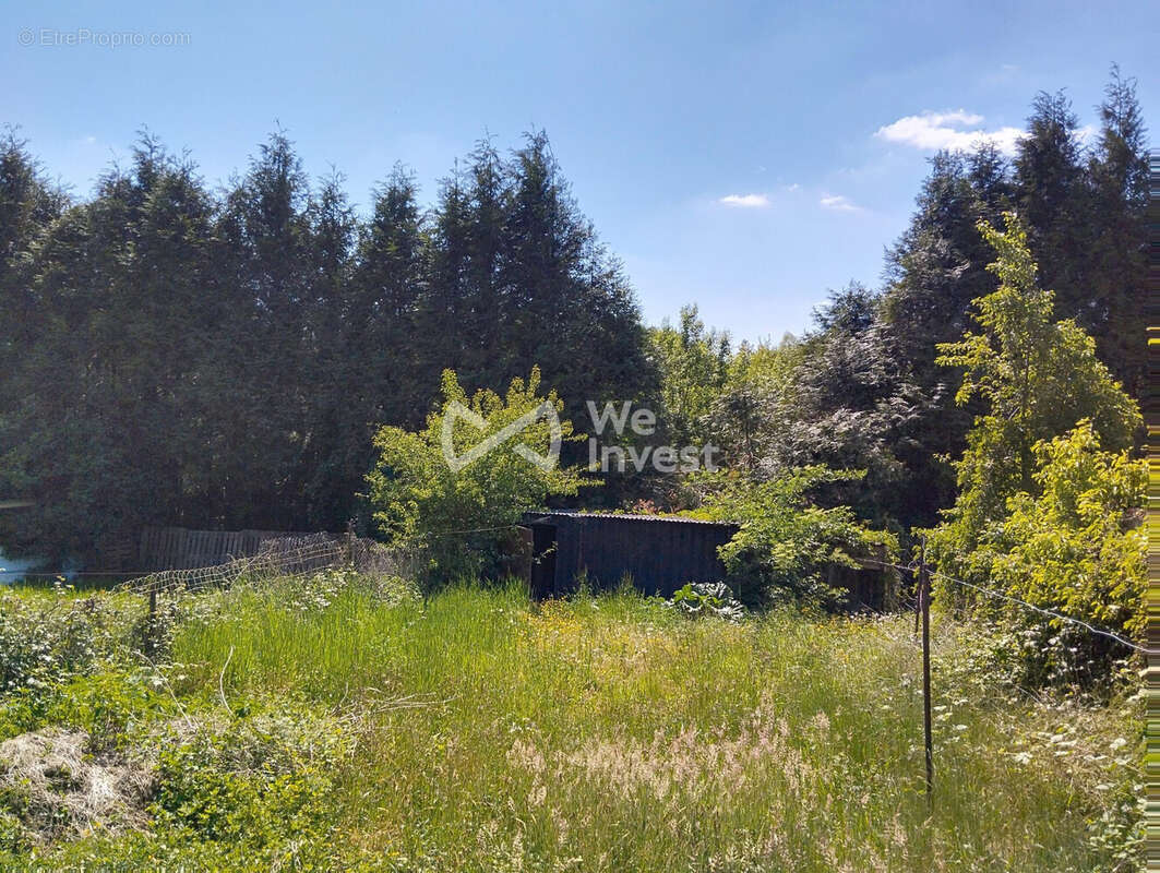 Maison à SAINS-DU-NORD