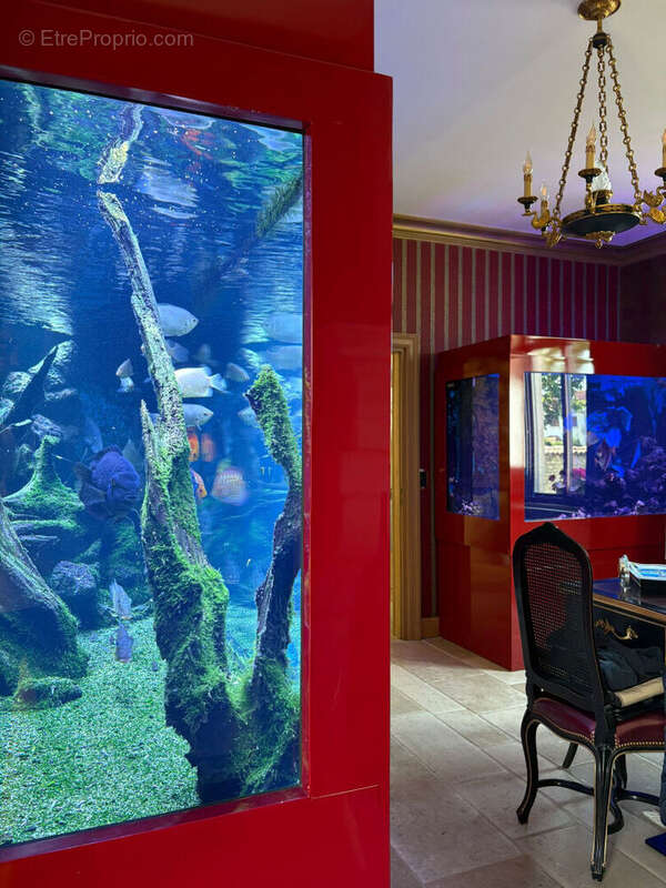 Maison à VILLOTTE-DEVANT-LOUPPY