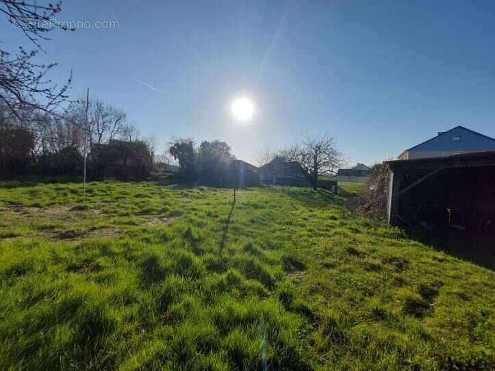 Terrain à MUNEVILLE-SUR-MER