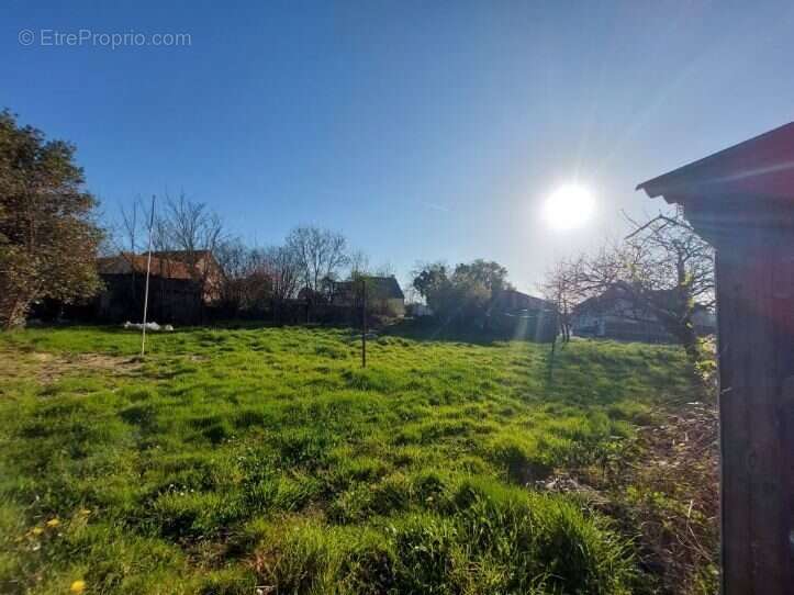 Terrain à MUNEVILLE-SUR-MER