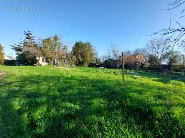 Terrain à MUNEVILLE-SUR-MER