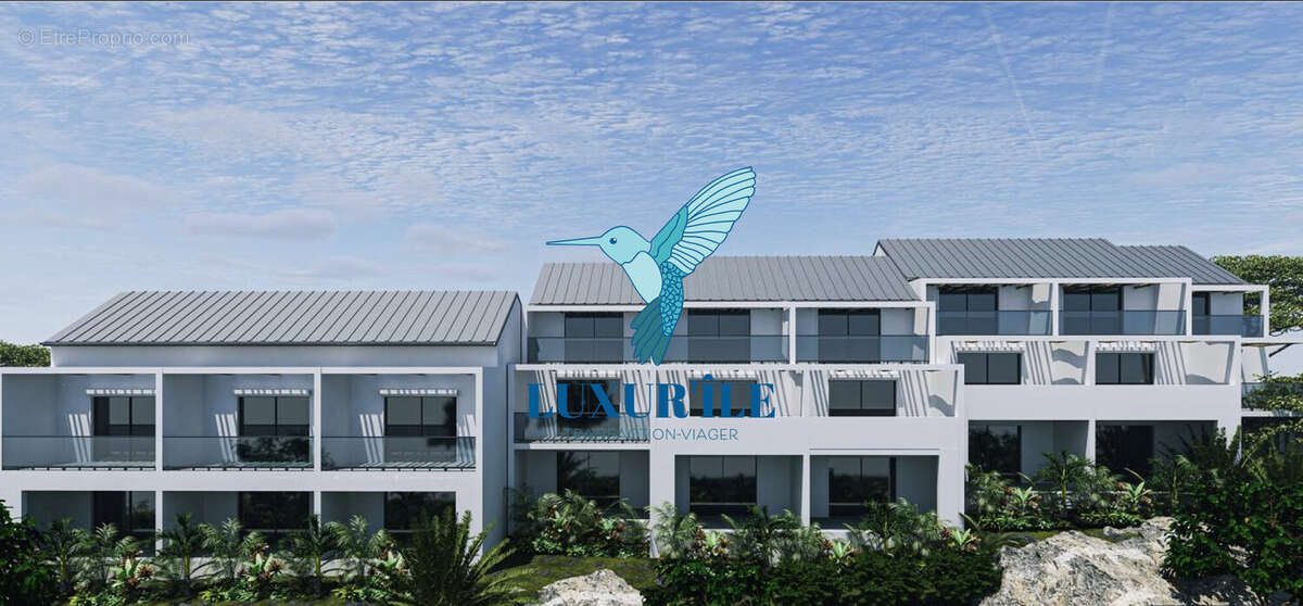 Terrain à SAINT-MARTIN